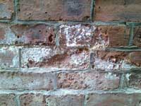 Salts on the outside of a brick wall.